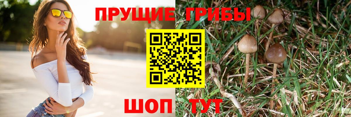 Лесозаводск  наркошоп  Вход с VPN  Псилоцибиновые грибы MAGIC MUSHROOMS 
